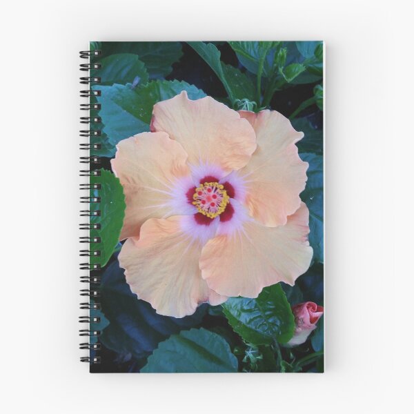 Item preview, Orange Hibiscus designed and sold by edwardiangirl.