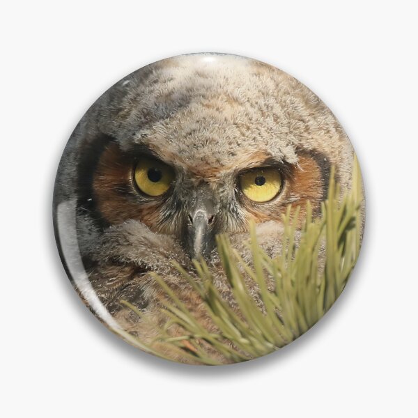 Item preview, Great horned owlet designed and sold by locustgirl.