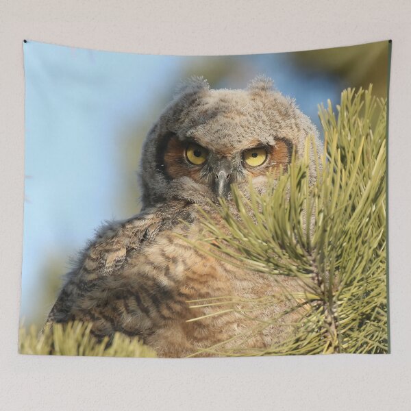 Item preview, Great horned owlet designed and sold by locustgirl.