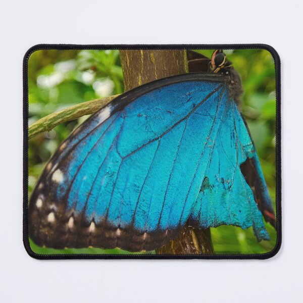 Item preview, Blue butterfly designed and sold by BornToBeWyld.