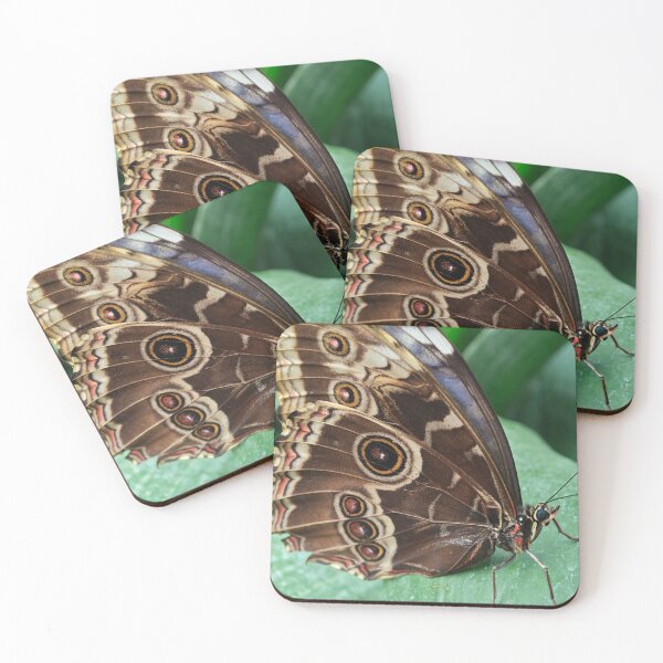 Item preview, Brown butterfly designed and sold by BornToBeWyld.