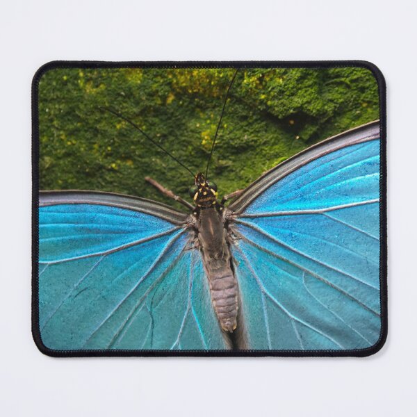 Item preview, Blue butterfly designed and sold by BornToBeWyld.