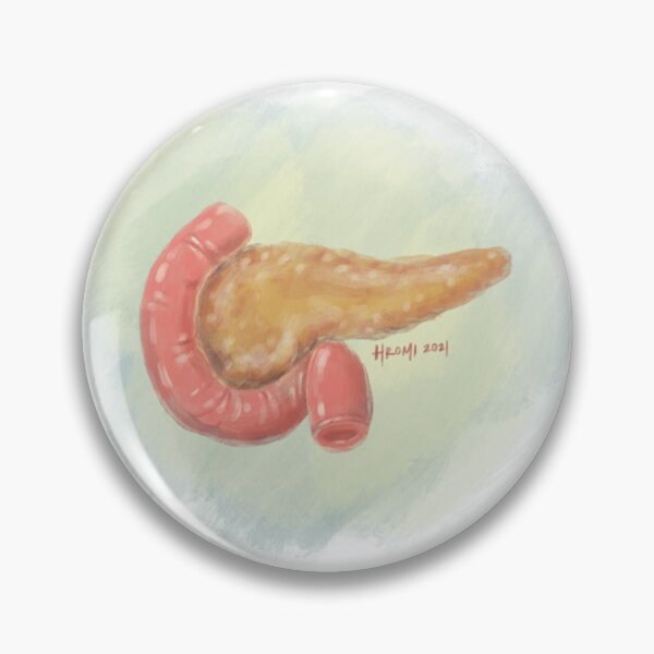 Item preview, Pancreas Medical Illustration designed and sold by Studio Hromi LLC.