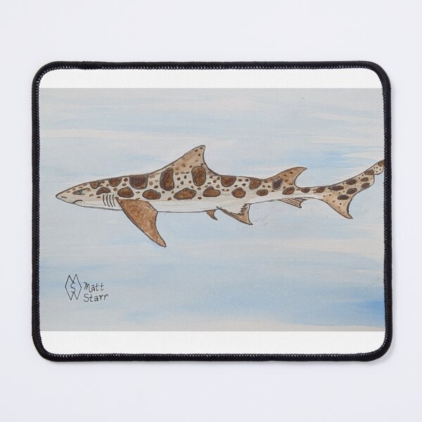 Item preview, Leopard shark study  designed and sold by Matt Starr Fine Art .