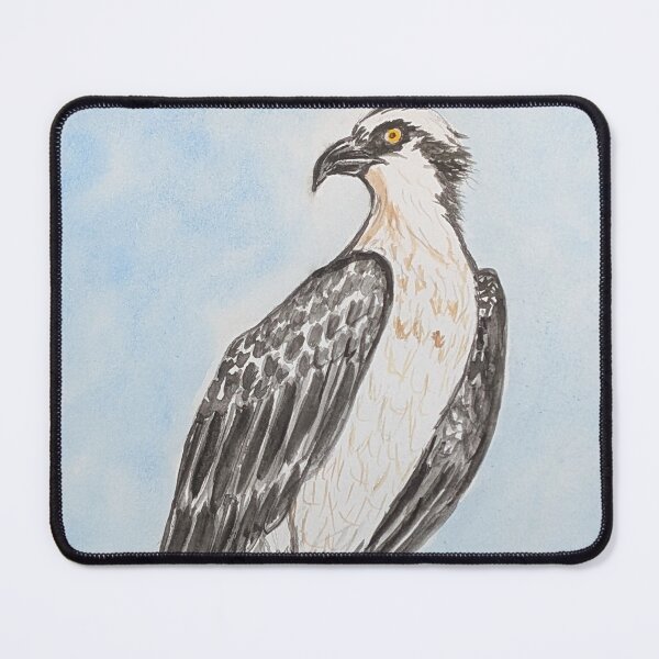 Item preview, Osprey caught a fish designed and sold by Matt Starr Fine Art .