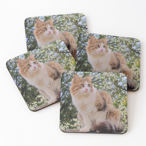 Item preview, Majestic Cat in Blooming Garden – Aesthetic Nature Cat Photography designed and sold by MB-CatPrints.