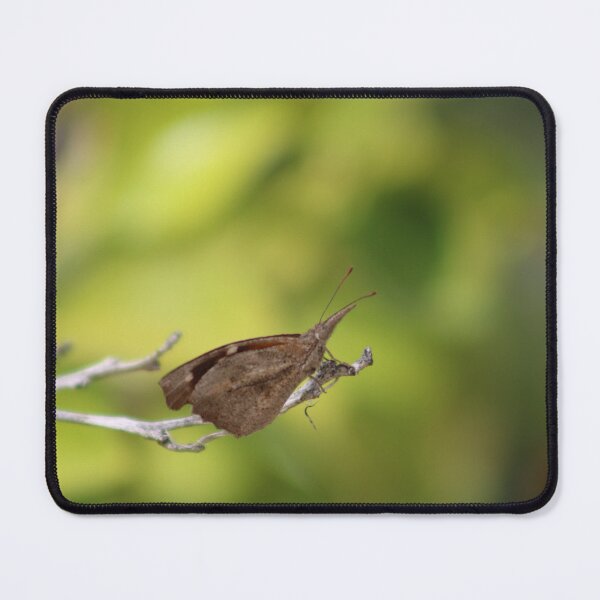 Item preview, American Snout Nose Butterfly designed and sold by Kaybytes.