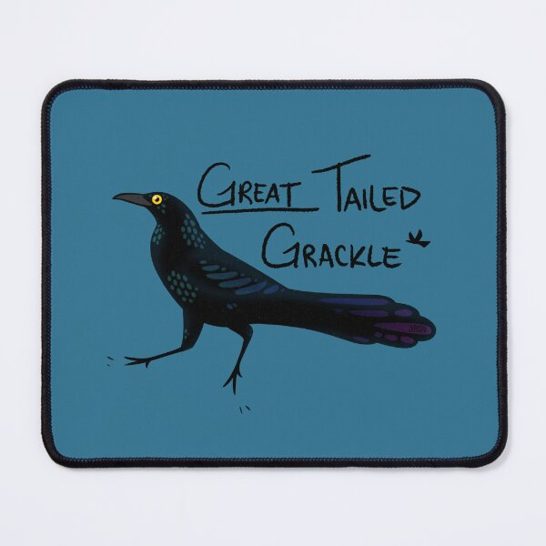 Item preview, Great-Tailed Grackle designed and sold by jastinamor.