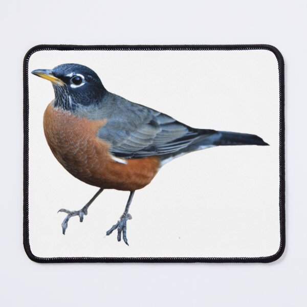 Item preview, American Robin designed and sold by kyra0nicole.