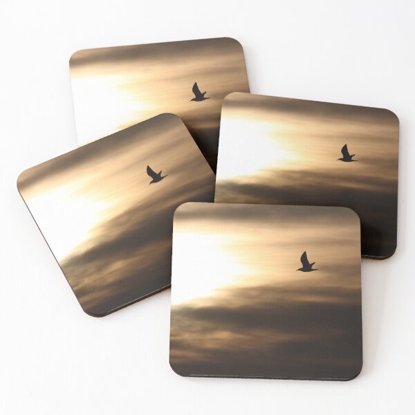 Item preview, Flight to the Sun designed and sold by jfrostphotos.