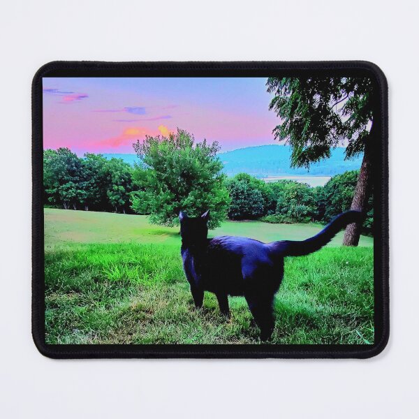 Item preview, Vibrant Cat Photograph Outdoors designed and sold by Crystal Furciniti.