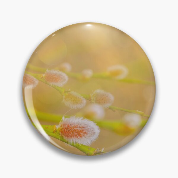 Item preview, Soft Focus on Pussy Willow Branches designed and sold by Veikko  Suikkanen.