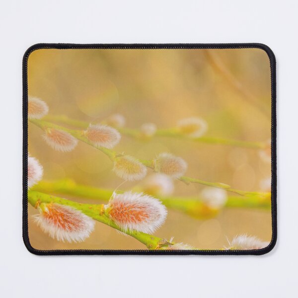 Item preview, Soft Focus on Pussy Willow Branches designed and sold by Veikko  Suikkanen.