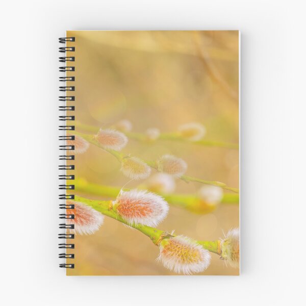 Item preview, Soft Focus on Pussy Willow Branches designed and sold by Veikko  Suikkanen.