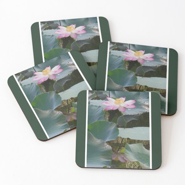 Item preview, REFLECTIONS designed and sold by ECO DHARMA LIVING.