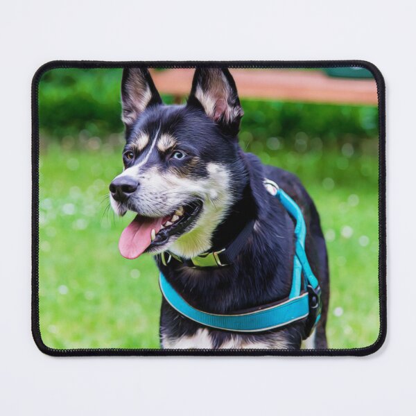 Item preview, Happy Husky Dog with Unique Eyes designed and sold by ZoroDesign.