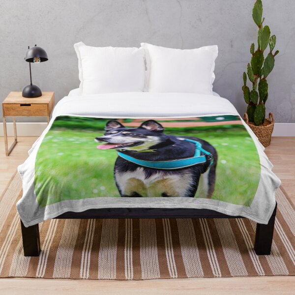 Aperçu de l'œuvre Chien Husky joyeux aux yeux uniques créée et vendue par ZoroDesign.