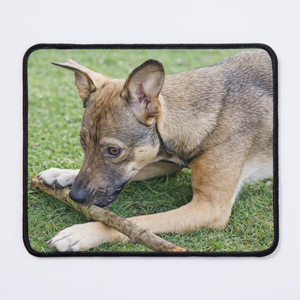 Item preview, Playful Puppy Chewing a Stick designed and sold by ZoroDesign.