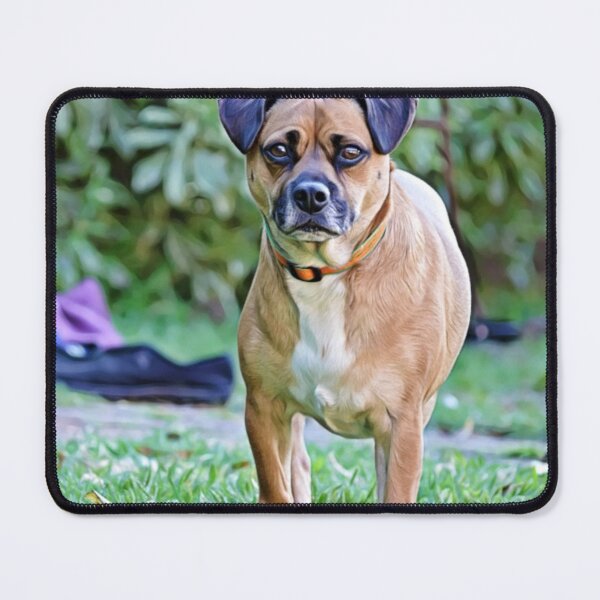 Item preview, Cute Loyal Terrier Mix Dog in the Garden designed and sold by ZoroDesign.