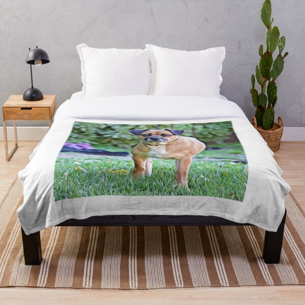 Aperçu de l'œuvre Adorable petit chien croisé terrier fidèle dans le jardin créée et vendue par ZoroDesign.