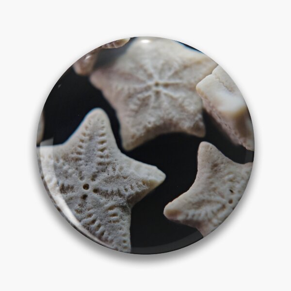 Item preview, Nature's star trinkets  designed and sold by Kristin Morgan.
