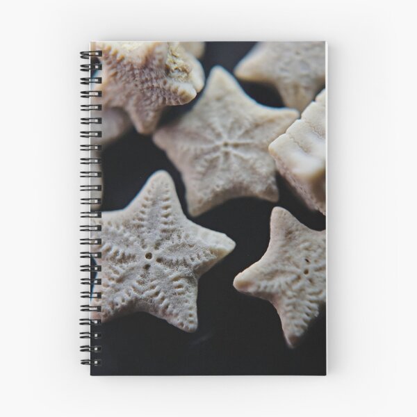 Item preview, Nature's star trinkets  designed and sold by Kristin Morgan.