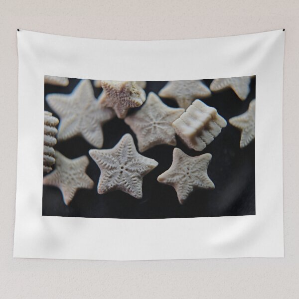 Item preview, Nature's star trinkets  designed and sold by Kristin Morgan.