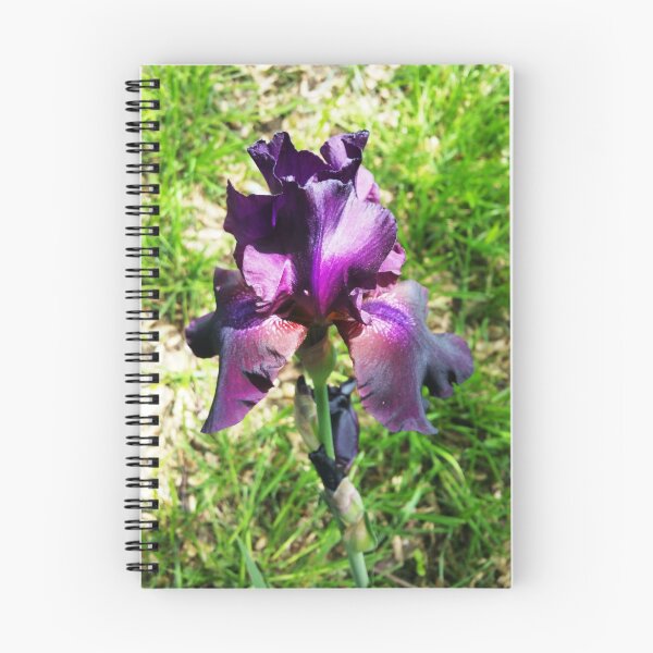 Item preview, Deep Purple Iris Flowers designed and sold by FenixMedia7.