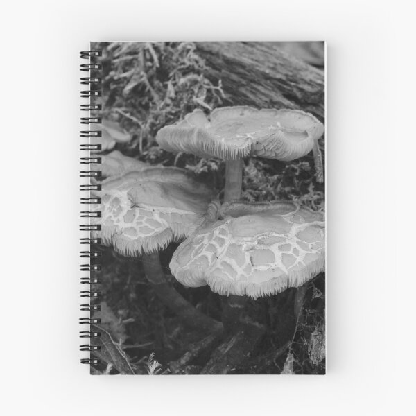 Item preview, Mushrooms growing on ecomposing tree designed and sold by Willscape.