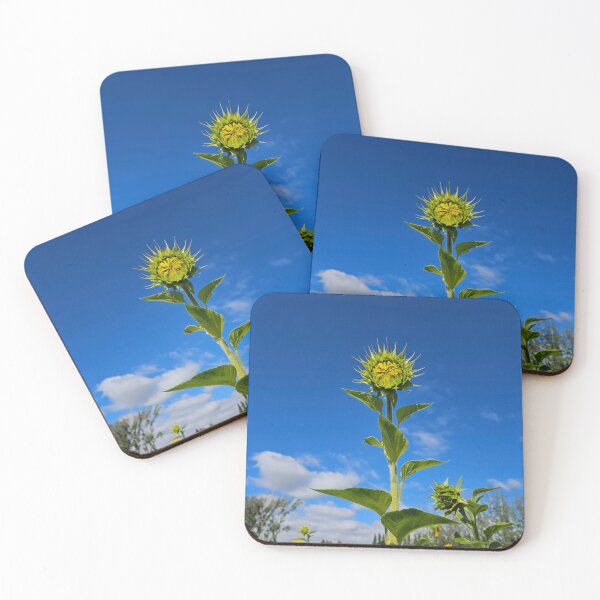Item preview, Let the unfurling begin designed and sold by Mountain & Moss Creative.
