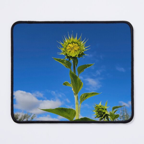 Item preview, Let the unfurling begin designed and sold by Mountain & Moss Creative.