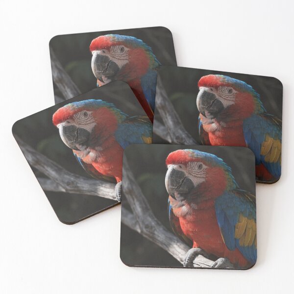 Item preview, Vibrant Macaw Parrot Portrait – Colorful Tropical Bird Wildlife Art designed and sold by treandsart.