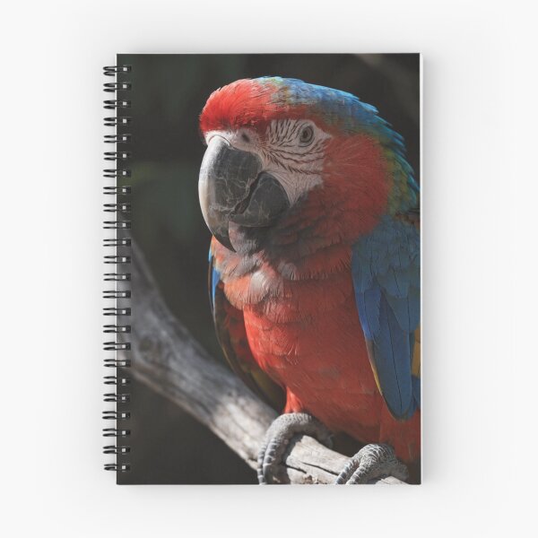 Item preview, Vibrant Macaw Parrot Portrait – Colorful Tropical Bird Wildlife Art designed and sold by treandsart.