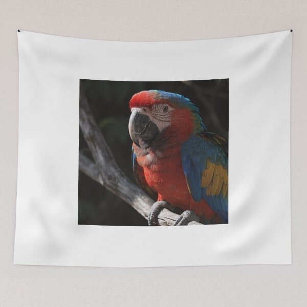 Item preview, Vibrant Macaw Parrot Portrait – Colorful Tropical Bird Wildlife Art designed and sold by treandsart.