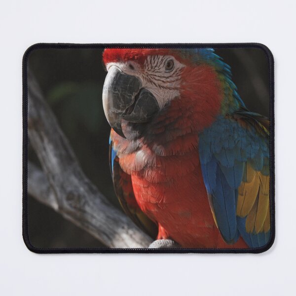 Item preview, Vibrant Macaw Parrot Portrait – Colorful Tropical Bird Wildlife Art designed and sold by treandsart.