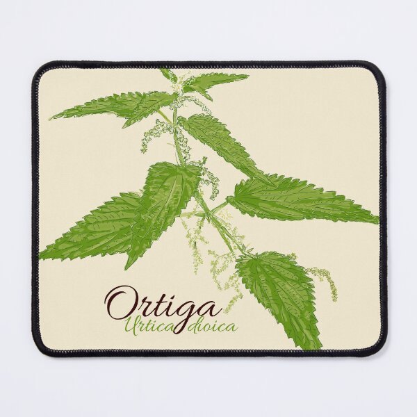 Item preview, Green nettle in bloom designed and sold by Emi Yañez.