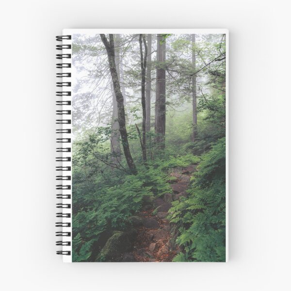 Item preview, Path Through Forest Trees Photographic Print designed and sold by Mother-Nature65.