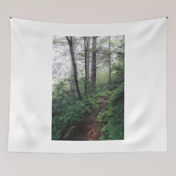 Item preview, Path Through Forest Trees Photographic Print designed and sold by Mother-Nature65.