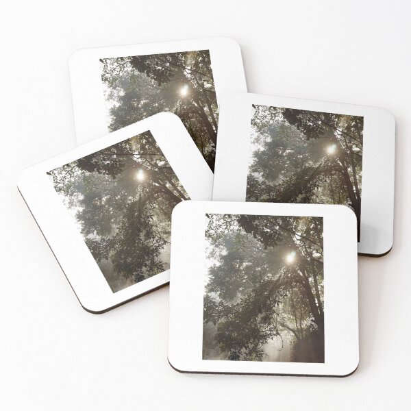 Item preview, Sun Through Trees Photographic Print designed and sold by Mother-Nature65.