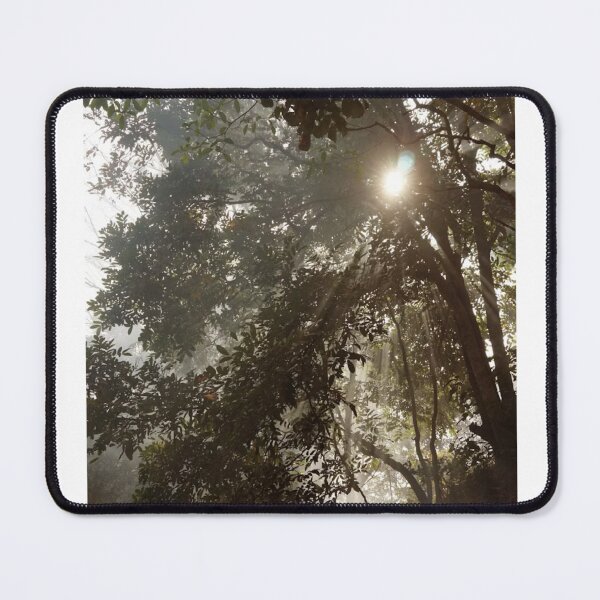 Item preview, Sun Through Trees Photographic Print designed and sold by Mother-Nature65.