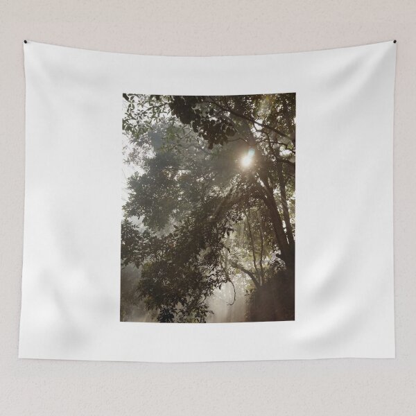 Item preview, Sun Through Trees Photographic Print designed and sold by Mother-Nature65.