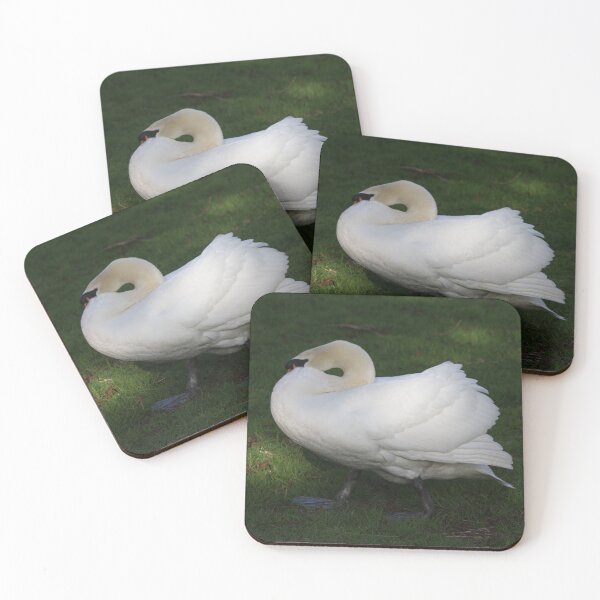 Item preview, Walking Swan designed and sold by jfrostphotos.