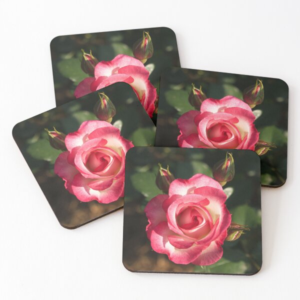 Item preview, Two Tone Rose designed and sold by Ross.A.Campbell.
