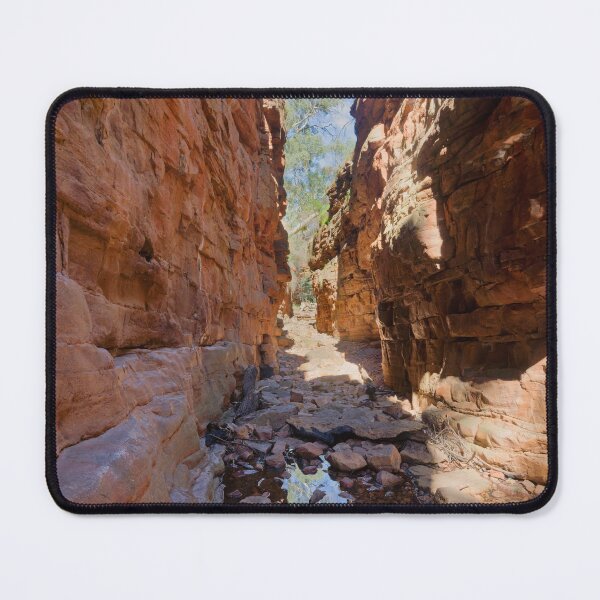 Item preview, Aligator Gorge designed and sold by Steve9.