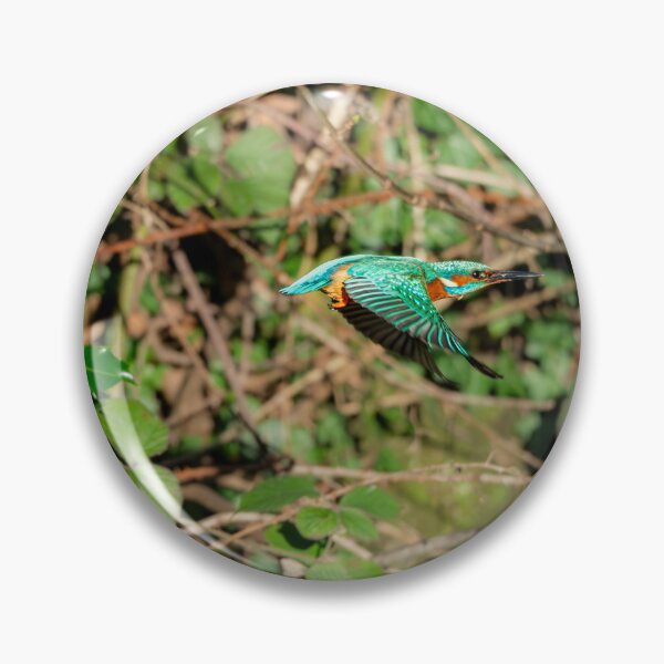 Item preview, Common kingfisher flying from perch designed and sold by Stephen Jarman.
