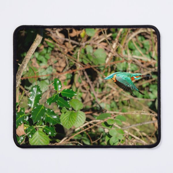 Item preview, Common kingfisher flying from perch designed and sold by Stephen Jarman.