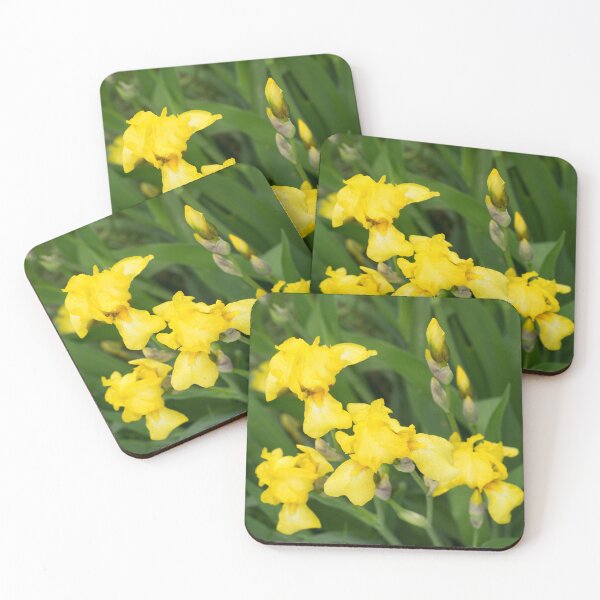 Item preview, Garden Bunch of Bright Yellow Iris Blossoms designed and sold by Georgia Mizuleva.