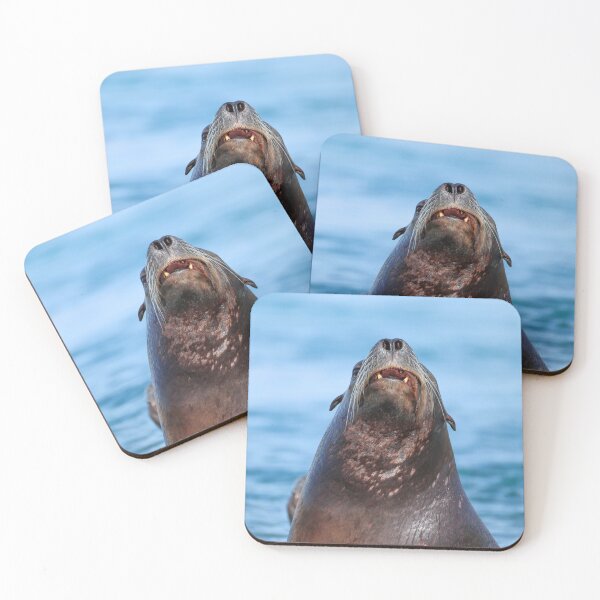 Item preview, Curious Sea Lion  designed and sold by Zenvo.