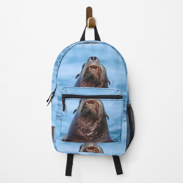 Item preview, Curious Sea Lion designed and sold by Zenvo.