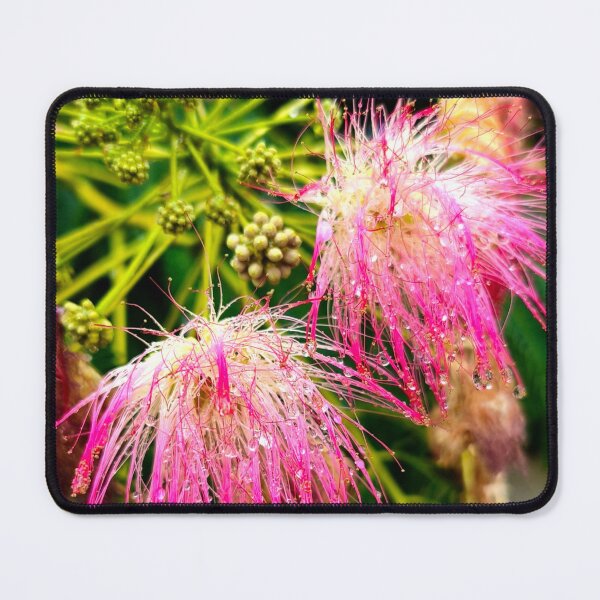 Item preview, Pink Silk Tree Blossoms with Rain Water Drops designed and sold by Kainicram.